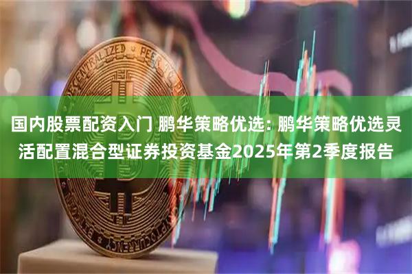 国内股票配资入门 鹏华策略优选: 鹏华策略优选灵活配置混合型证券投资基金2025年第2季度报告