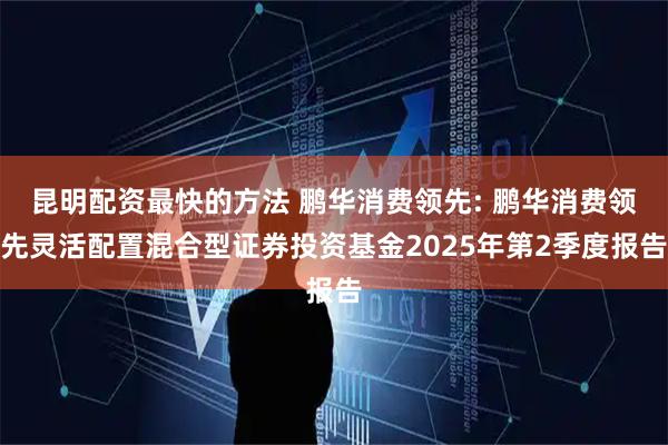 昆明配资最快的方法 鹏华消费领先: 鹏华消费领先灵活配置混合型证券投资基金2025年第2季度报告